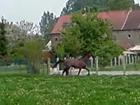 Heïdi & Richesse en Pature