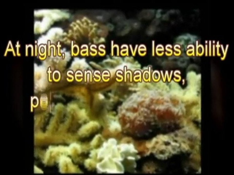 Bass Fishing Tips - Evening Secret Fishing