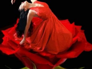 Baila Morena  - Jacek Silski