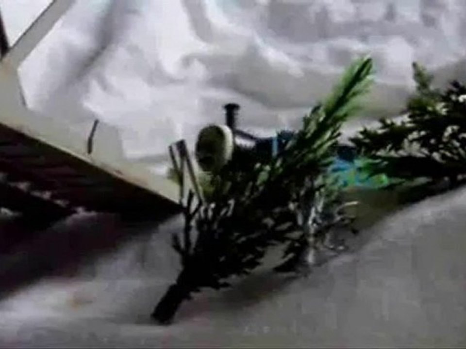 2. Thomas In Peril