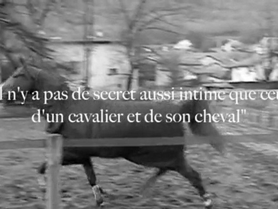 Shannel, une histoire...