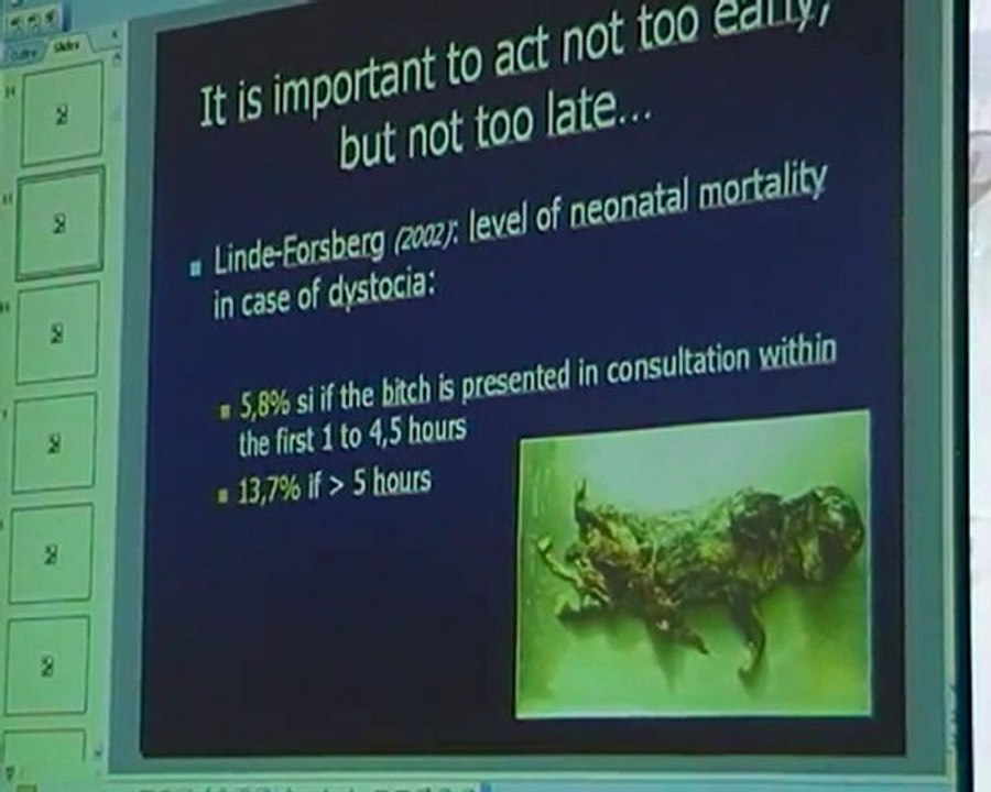 Pregnancy and obstetrics in dogs and cats 1