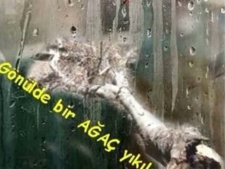 Anladım--Bedirhan Gökçe –Can YÜCEL