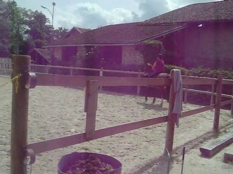 Reprise de dressage CCE club2,club 3  Seconde essai