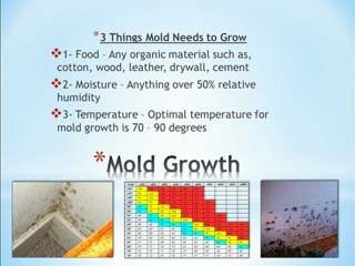 Damp Basements: The Causes, Concerns & Solutions