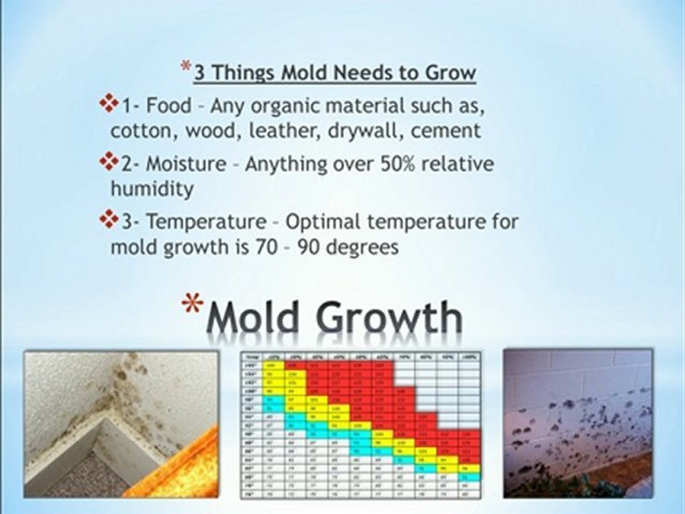 Damp Basements: The Causes, Concerns & Solutions