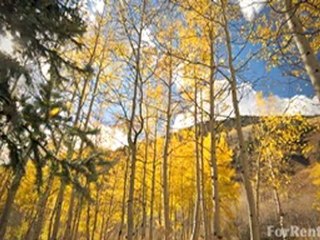 Grand Rapids Apartments For Rent - Find Apartments in ...