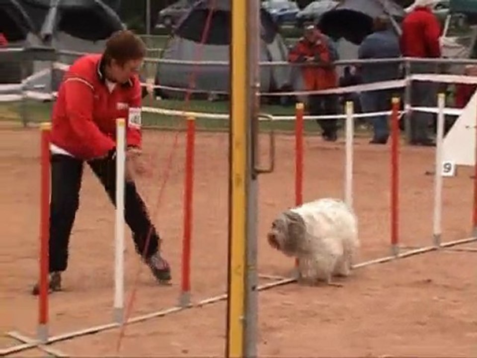Voyou_Manche 2 (Jumping) Guebwiller 02/05/10