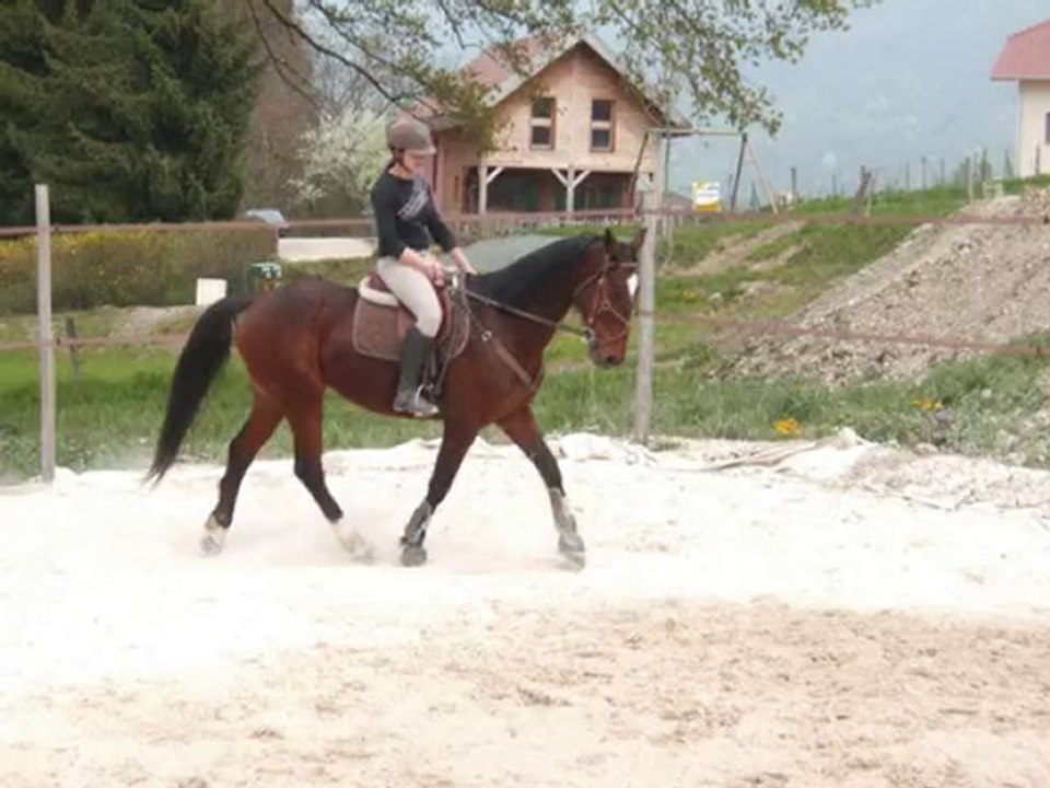 23 avril Dressage Palma