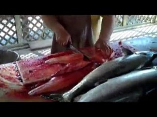 Fish On! - St. Joe, MI 2010