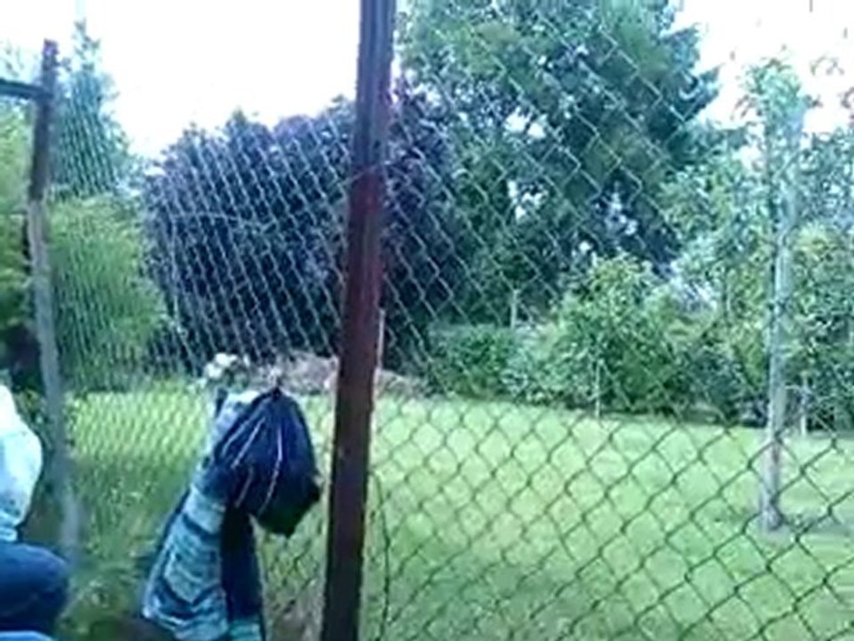 La Chutte.