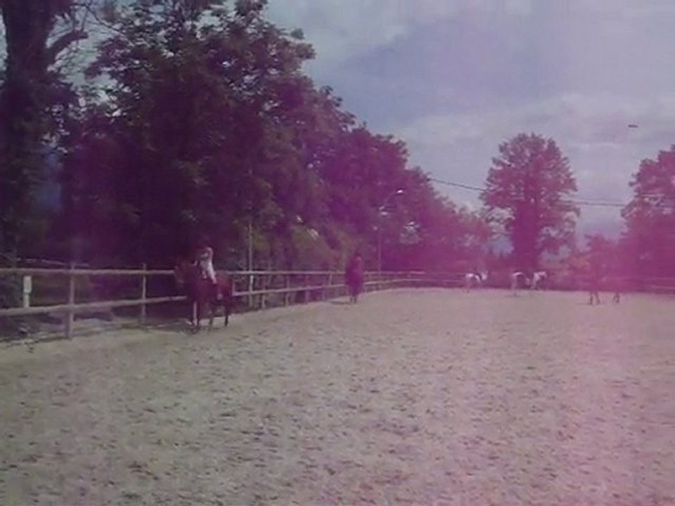 Reprise de dressage CCE club2,club 3  premier essai