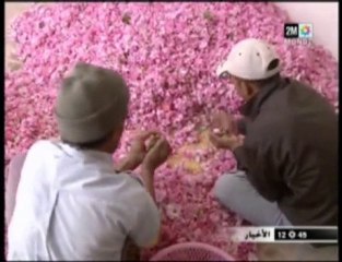 Reportage 2M sur les produies de la rose 2010