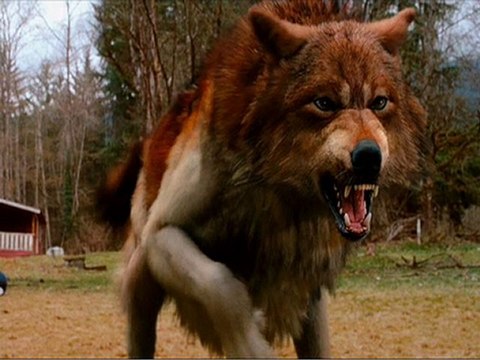 The Twilight Saga: Eclipse Part 2 /10 FULL Movie streaming