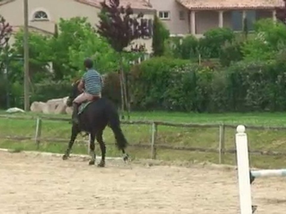 Pastourelle essai 27 mai