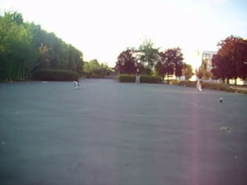 frisbee lanka