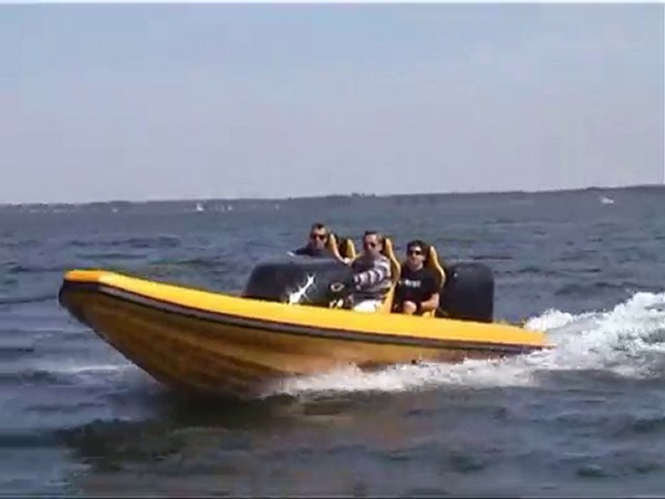 RAID 800