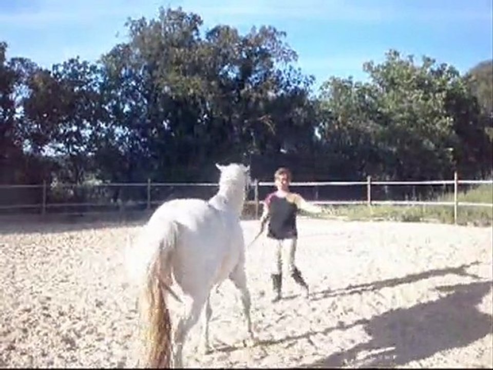 indien en liberté + 1er pas espagnol