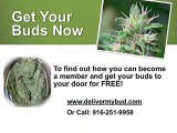 Cannabis Sacramento - Medical Marijuana Sacramento -Deliver