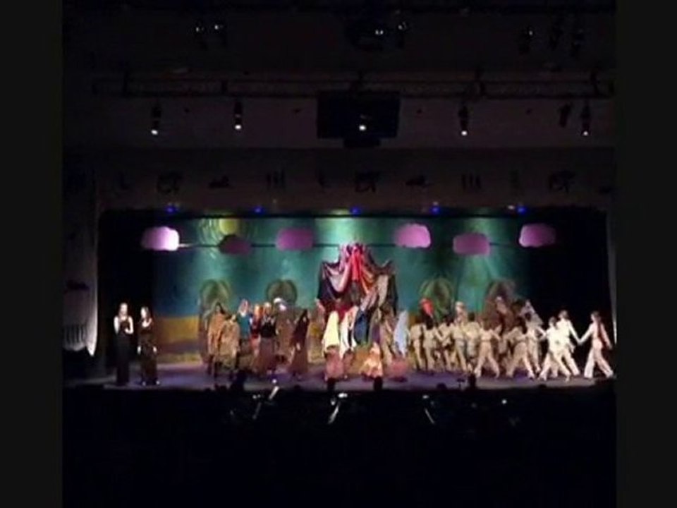 Joseph's Coat