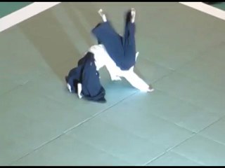 合気会本部道場長補佐　植芝充央　Aikido Ueshiba Mitsuteru
