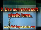 Bass Fishing - Saltwater Fishing Secret