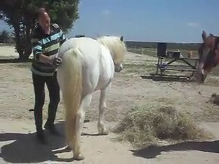 LORIOT ET FLAVIEN  SDC11439