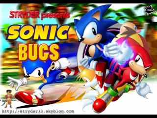 Sonic Bugs & Glitch