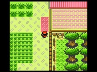 WT pokémon argent 09