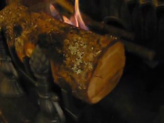 Bio-bûche Fer noir 55 au bioéthanol