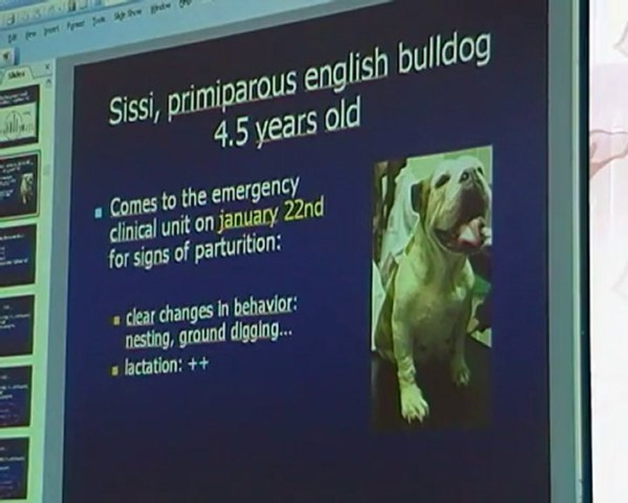 Pregnancy and obstetrics in dogs and cats 2