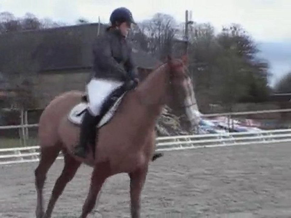 Villers en ouche dressage nov 2009