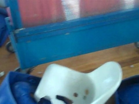 ΓΗΣ ΜΑΔΙΑΜ ΤΑ ΕΚΑΝΑΝ ΟΙ ΟΠΑΔΟΙ ΤΟΥ ΠΑΟΚ ΚΑΙ ΤΗΣ ΑΕΚ