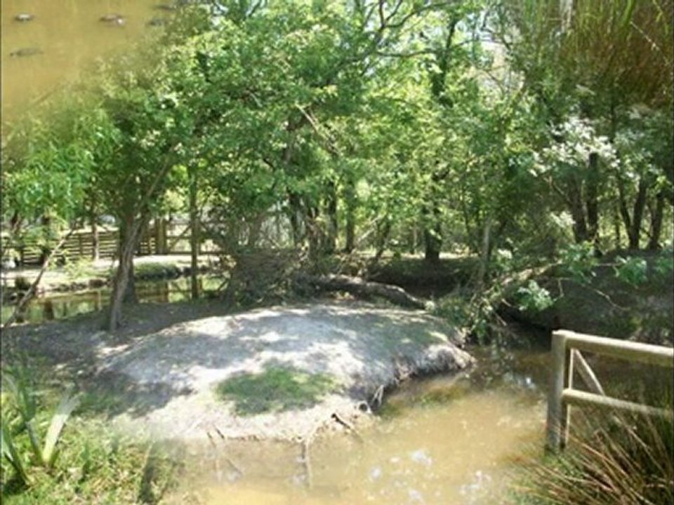 Marais aux oiseaux DOLUS Charente-Maritime 17