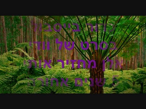 אימפוטנציה של מילים עם נוף: חלק 1