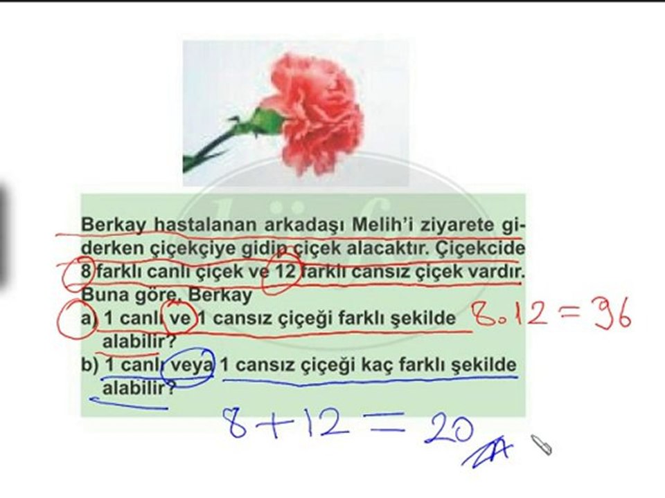 6.Sınıf Olası Durumları Belirleme