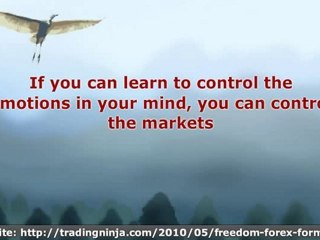 Forex Trading Secrets - Bruce Kovner Started With Only $3,00