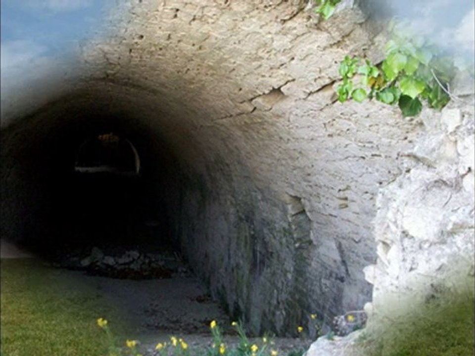 Château d'oléron Ile d'oléron (17)