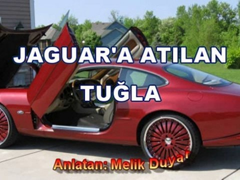 Jaguara Atılan Tuğla - Kişisel Gelişim - Melik Duyar