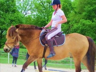 2 Chevaux & 2 Cavalière