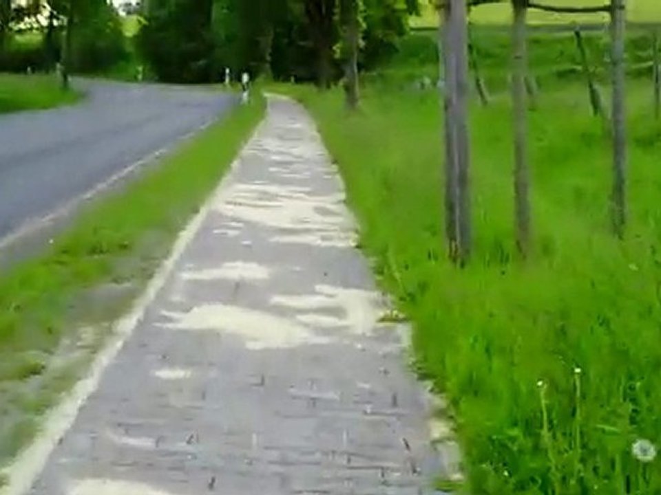 Radweg zwischen Dahle und Springe am Deister