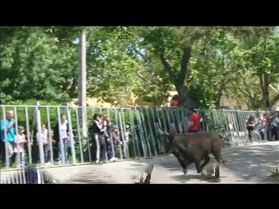 piemanson mai 2010 genetrix