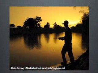 Lake Lanier Fishing Guide: Discover Inside Secrets