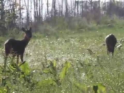 Petite balade mais 2010