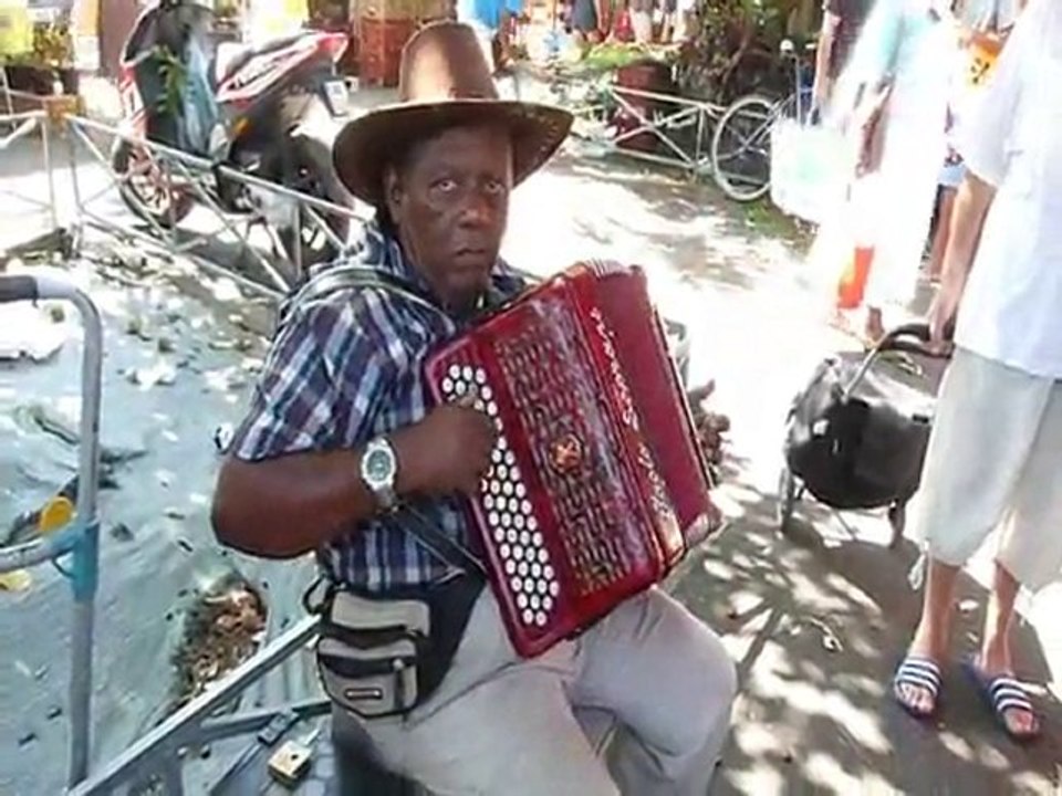 Musicien au marché forain du Port