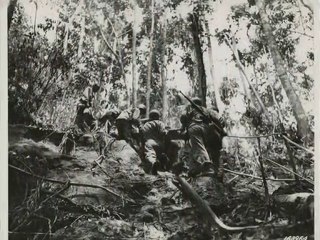 Guadalcanal 1942-1943