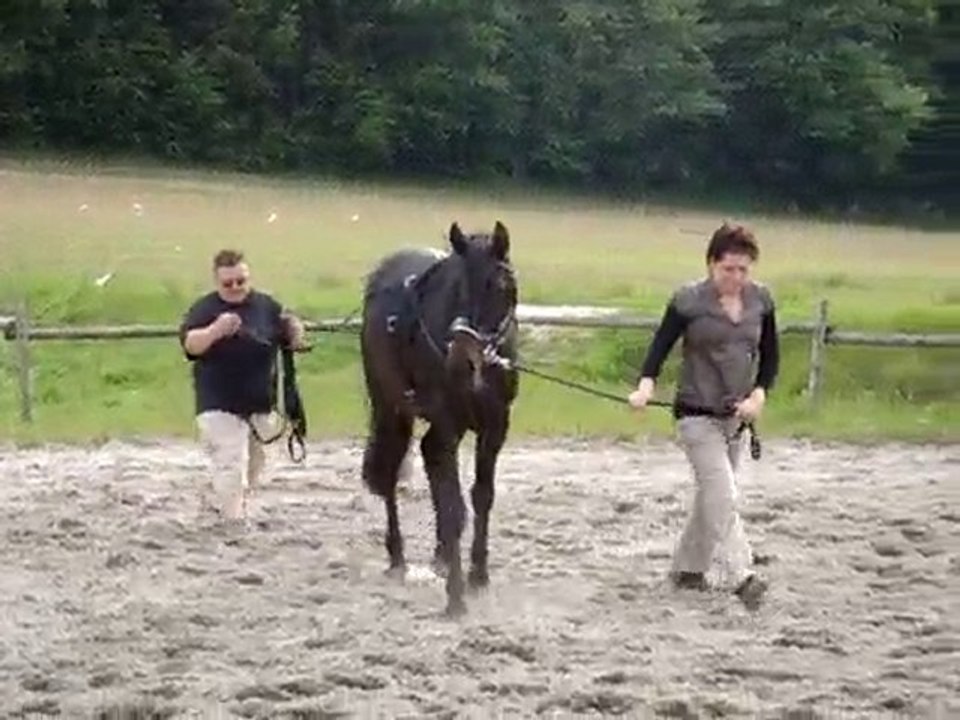 longues renes premiere fois mai 2010 005