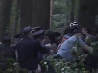 Уничтожение парка Горького в Харькове, хроника 25.05.2010