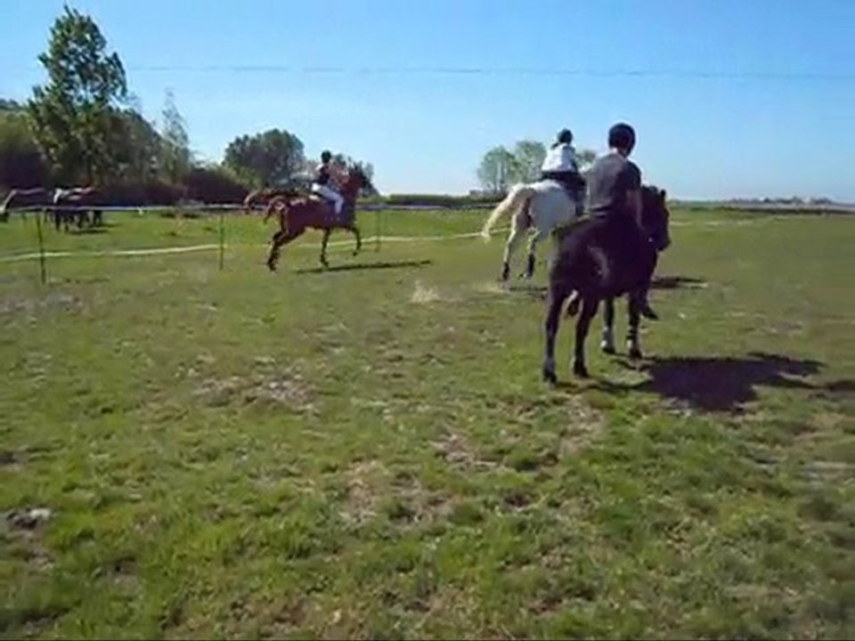 Courses Pâture - 22 mai 2010