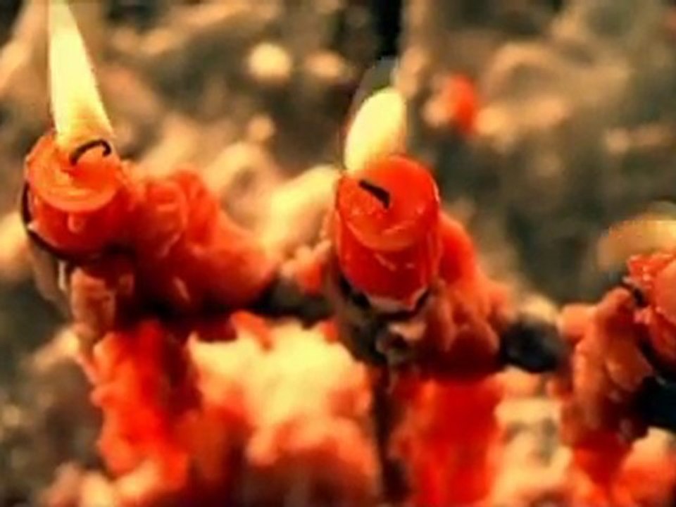 Apocalyptica